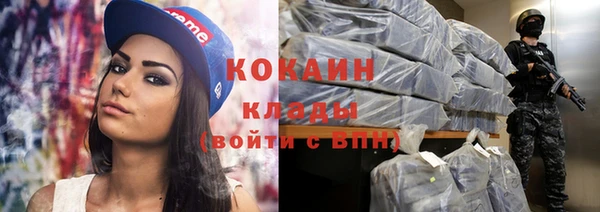 прущие грибы Балабаново