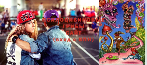 прущие грибы Балабаново