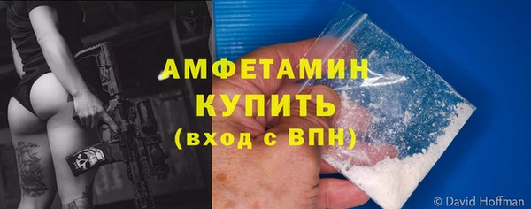 прущие грибы Балабаново