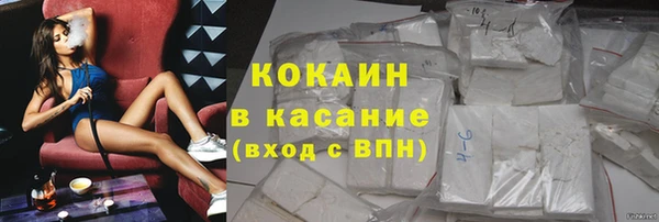 прущие грибы Балабаново