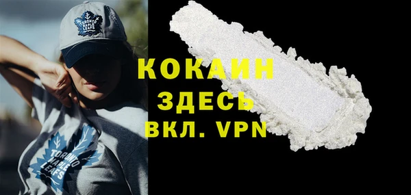 прущие грибы Балабаново