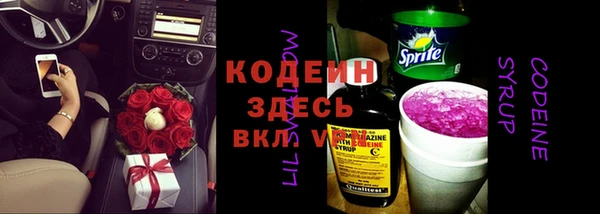 прущие грибы Балабаново