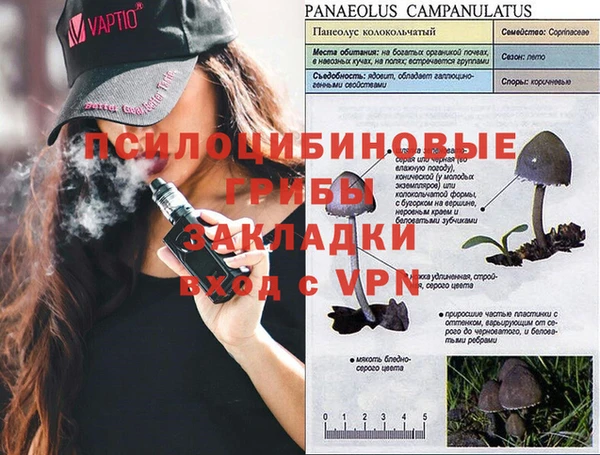 прущие грибы Балабаново