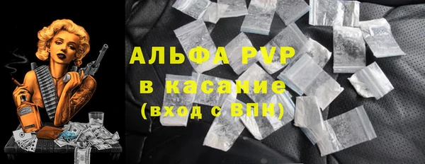прущие грибы Балабаново