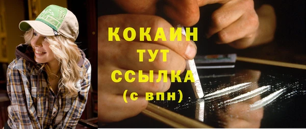 прущие грибы Балабаново
