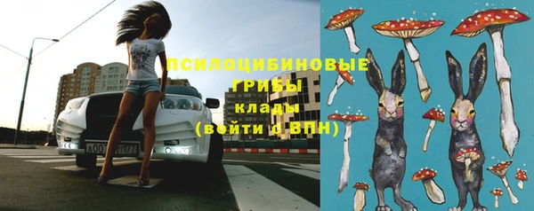 тгк Баксан