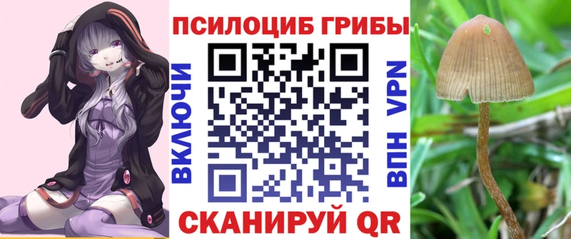 Галлюциногенные грибы MAGIC MUSHROOMS  Коммунар 